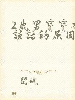 2岁男宝宝不会说话的原因