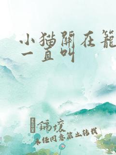 小猫关在笼子里一直叫