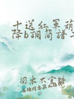 十送红军葫芦丝降b调简谱二重奏