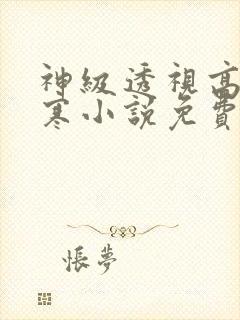 神级透视高手叶寒小说免费阅读