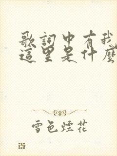 歌词中有我还在这里是什么歌