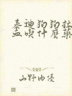 泰迪狗狗拉稀带血吃什么药