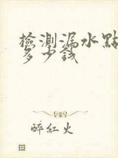 检测漏水点需要多少钱