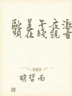 欧美午夜激情视频在线观看黑人