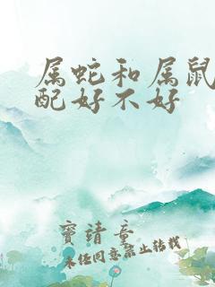 属蛇和属鼠的婚配好不好