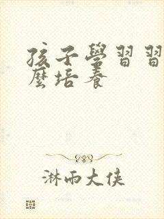 孩子学习习惯怎么培养