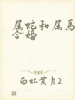 属蛇和属马合不合婚