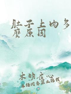 肚子上肉多是什么原因