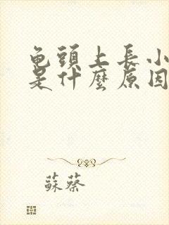 龟头上长小疙瘩是什么原因不痛不痒