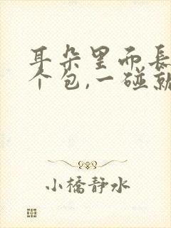 耳朵里面长了一个包,一碰就疼是怎么回事