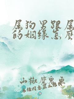 属狗男跟属鼠女的姻缘怎么样