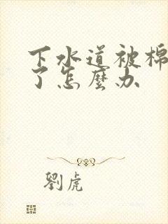 下水道被棉絮堵了怎么办