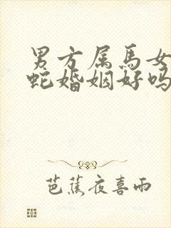 男方属马女方属蛇婚姻好吗