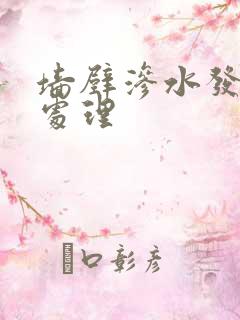 墙壁渗水发霉怎处理