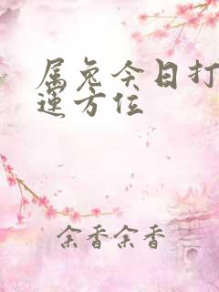 属兔今日打牌财运方位