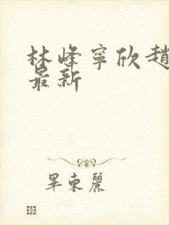 林峰宁欣赵小二最新