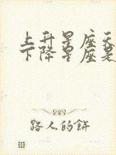 上升星座天秤座下降星座是什么