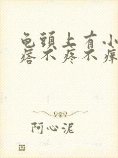 龟头上有小红疙瘩不疼不痒