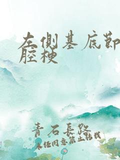 左侧基底节区脑腔梗