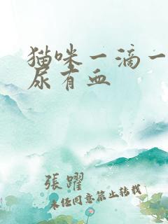 猫咪一滴一滴的尿有血