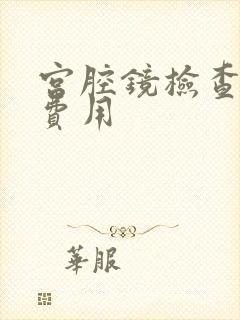 宫腔镜检查多少费用