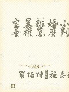 家暴离婚小孩抚养权怎么判