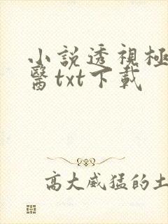 小说透视极品神医txt下载