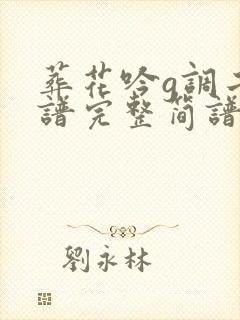 葬花吟g调二胡谱完整简谱