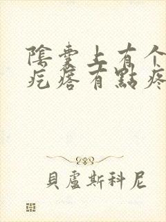 阴囊上有个小硬疙瘩有点疼