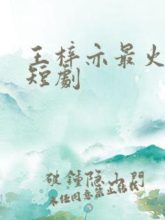 王梓亦最火十部短剧