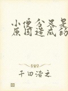 小便分叉是什么原因造成的