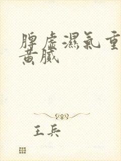 脾虚湿气重舌苔黄腻