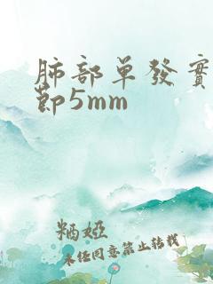 肺部单发实性结节5mm