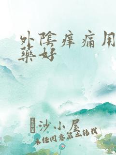 外阴痒痛用什么药好