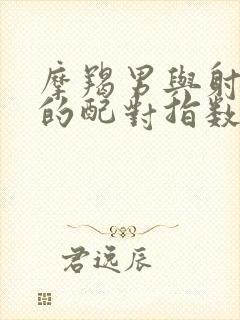 摩羯男与射手女的配对指数