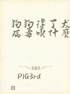 狗狗得了犬瘟热病毒吃什么药能治