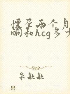 怀孕两个月的孕酮和hcg多少正常