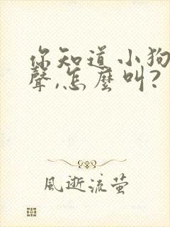 你知道小狗的叫声,怎么叫?