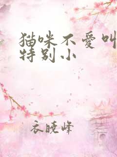 猫咪不爱叫叫声特别小