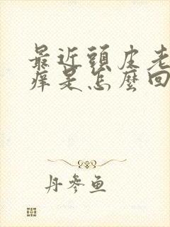 最近头皮老是发痒是怎么回事