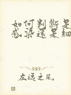 如何判断是病毒感染还是细菌感染