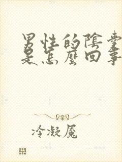 男性的阴囊瘙痒是怎么回事