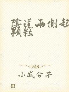 阴道两侧起白色颗粒