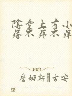 阴囊上有小红疙瘩不疼不痒