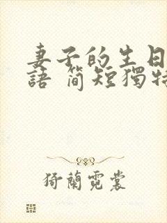 妻子的生日祝福语 简短独特