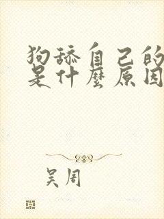 狗舔自己的爪子是什么原因