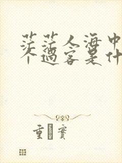 茫茫人海中多少个过客是什么歌