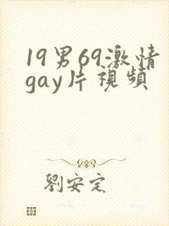 19男69激情gay片视频