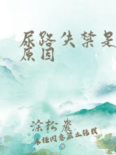 尿路失禁是什么原因