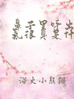 鼻子里呼出来的气很臭是什么原因